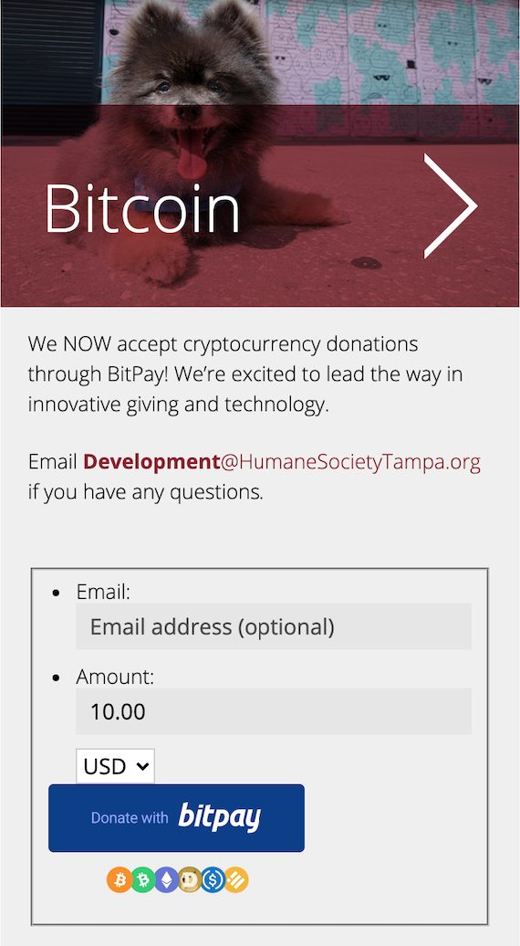 Your July Newsletter for All  Things BitPay and Crypto