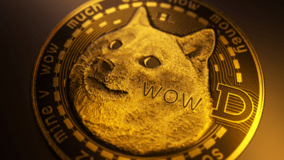 07-DOGE-1.png