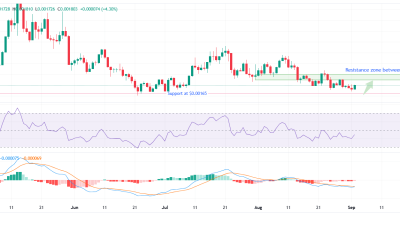 Notcoin-price-chart.png