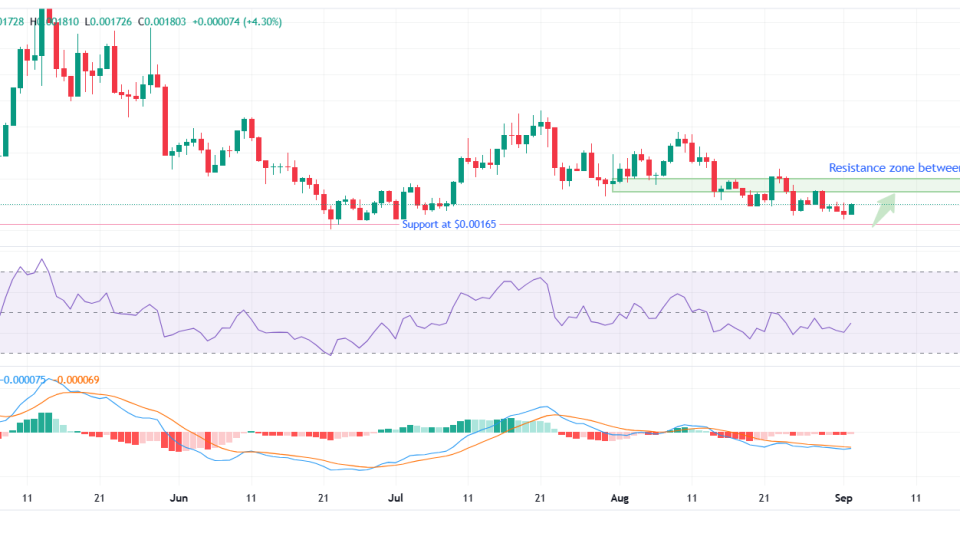 Notcoin-price-chart.png