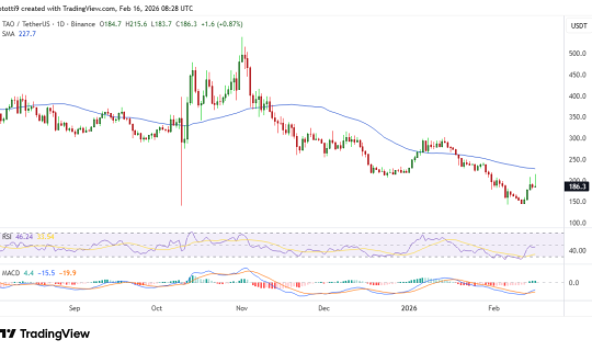 TAOUSDT_2026-02-16_11-28-07.png