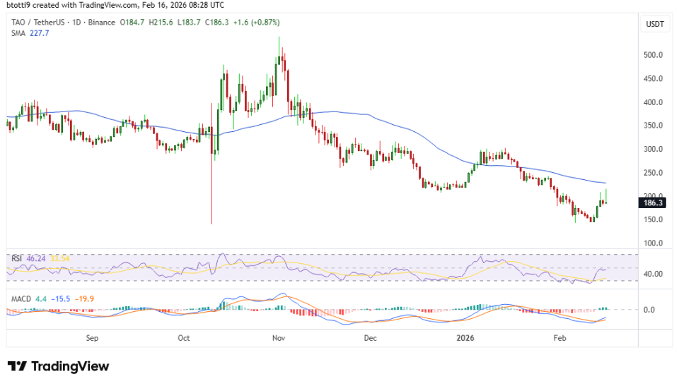 TAOUSDT_2026-02-16_11-28-07.png