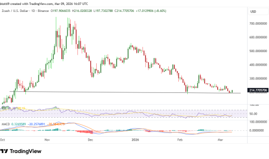 ZECUSD_2026-03-09_19-07-13.png