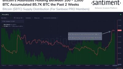 bitcoin-price-analysis01.jpg