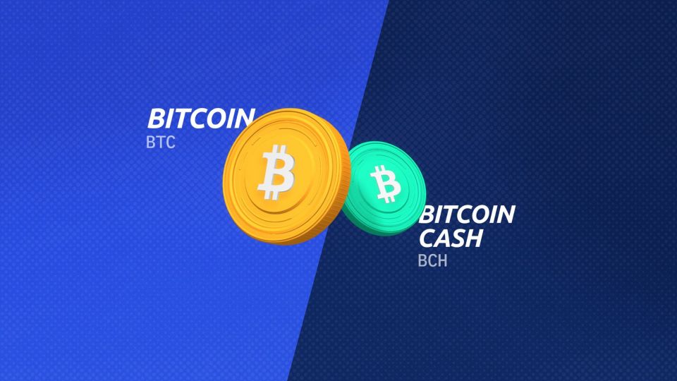 bitcoin-vs-bitcoin-cash-bitpay.jpg