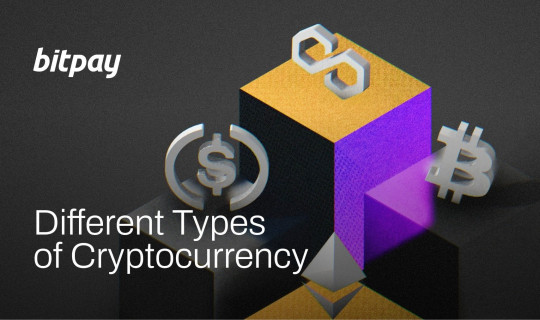 different-types-of-crypto-bitpay.jpeg