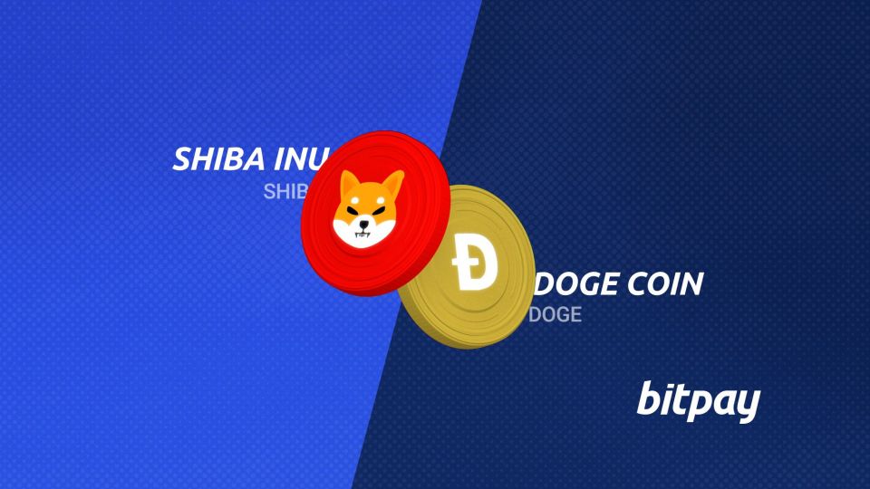 dogecoin-vs-shiba-inu-bitpay-2.jpg