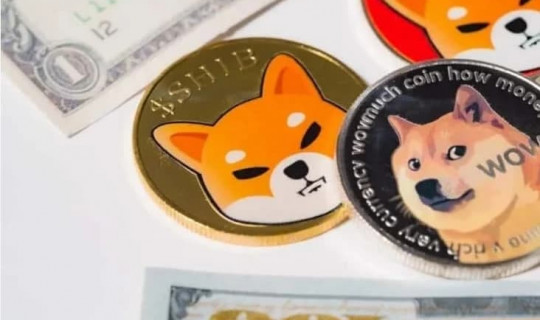 meme-coins-doge-and-shiba-inu-among-the-most-searched-cryptocurrencies-in-the-us.jpg