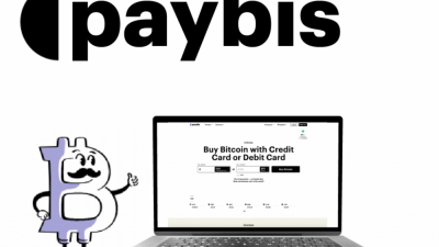paybis-introduces-new-pricing-tools-features.png
