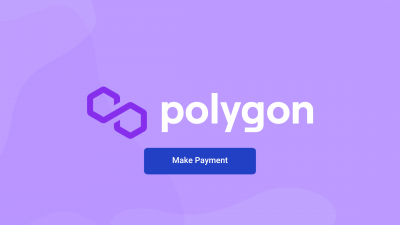 polygon-bitpay-payments.png